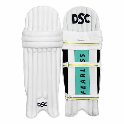 DSC Economy Kashmir Willow Cricket Kit (Size 5)