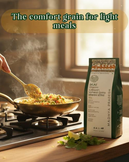 IKAI Natural Papad (Natural Protein Foods)