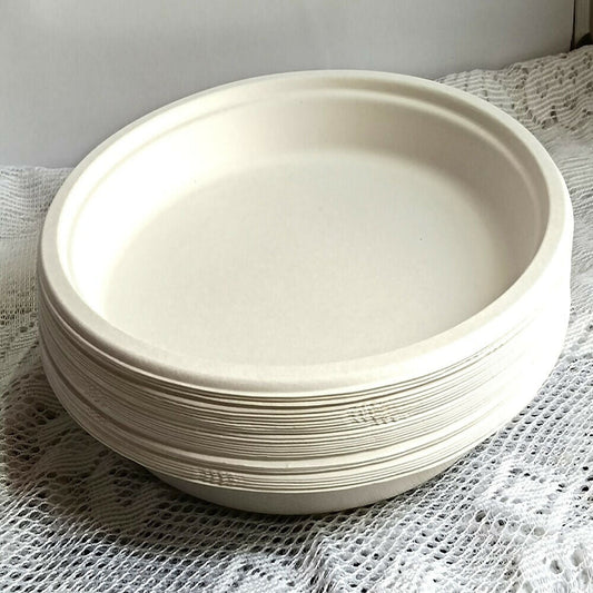 Disposable Round Plane Plates Big