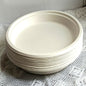 Disposable Round Plane Plates Big