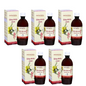 Patanjali Giloy Amla Juice