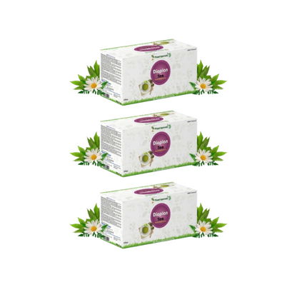 Planet Ayurveda Diaplan Tea