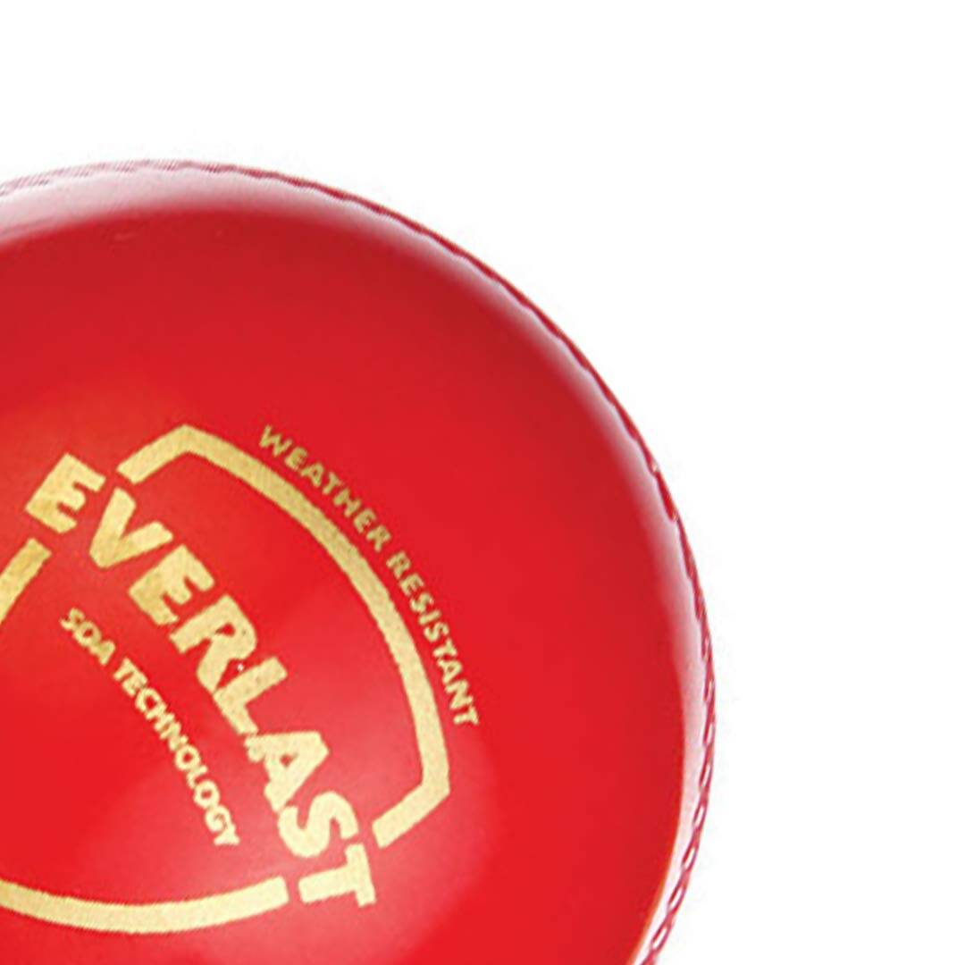 SG Everlast Leather Cricket Ball - Red
