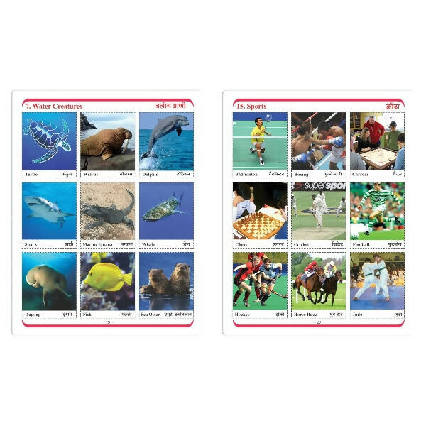 Jolly Kids Cut & Paste Project, Activities & Scrap Books Set of 4| Activity Charts-Flowers, Animals, National Flags etc