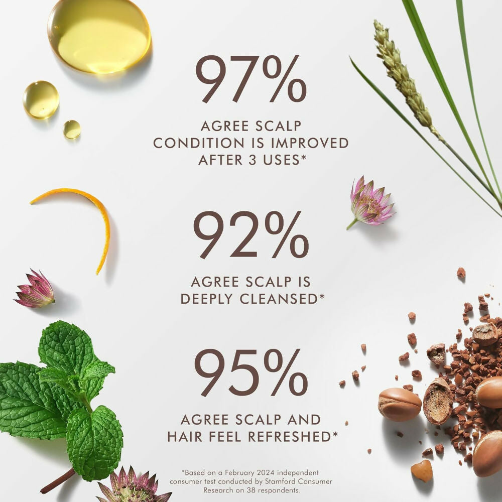 Moroccanoil Scalp Purifying Scrub