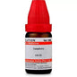 Dr. Willmar Schwabe India Camphora Dilution
