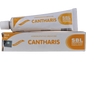 SBL Homeopathy Cantharis Ointment