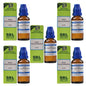 SBL Homeopathy Rhus Toxicodendron Dilution