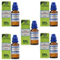 SBL Homeopathy Rhus Toxicodendron Dilution
