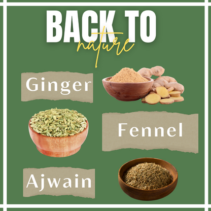Satvi Wellness Fennel Ginger Ajwain Tea | Fennel Tea | Ginger Tea | Ajwain Tea | Herbal Tea