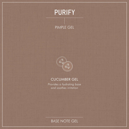 Secret Alchemist Purify Pimple Gel