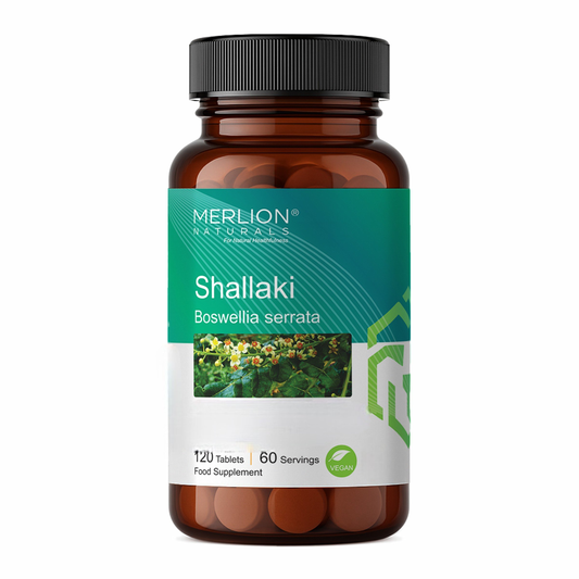 Merlion Naturals Shallaki 500mg Tablets