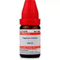 Dr. Willmar Schwabe India Capsicum Annuum Dilution