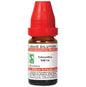 Dr. Willmar Schwabe India Colocynthis Dilution