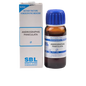 SBL Homeopathy Andrographis Paniculata (Kalmegh) Mother Tincture Q