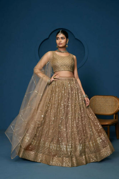 Brown Soft Netzari Embroidery Work Lehenga Choli - Jihu Culture