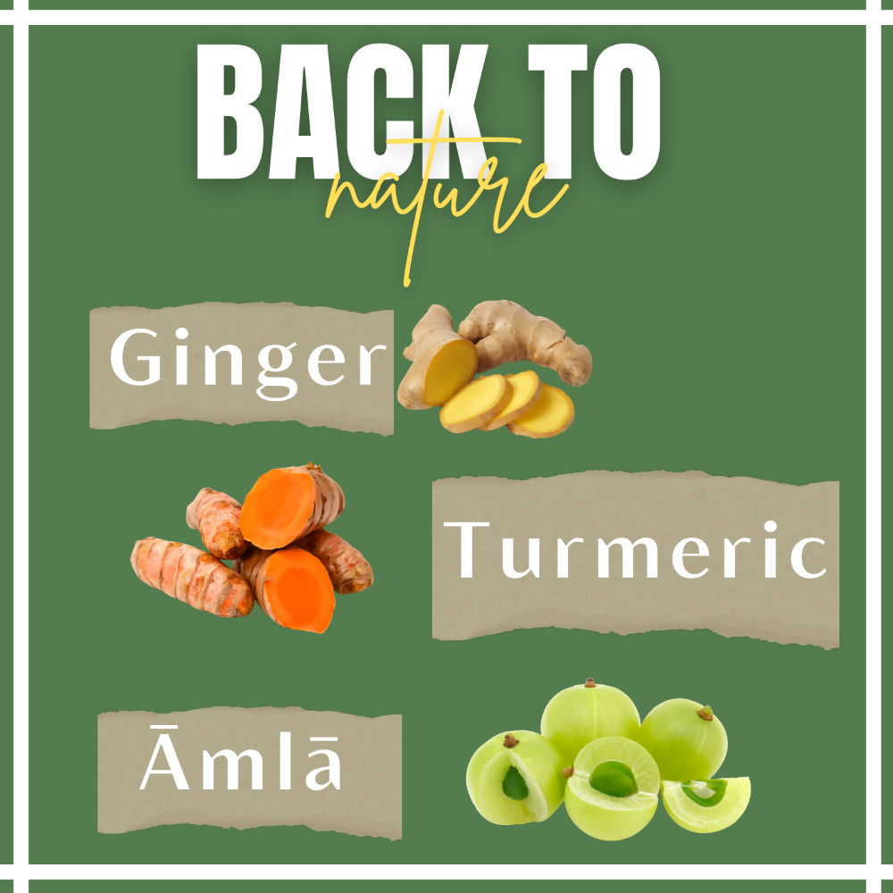 Satvi Wellness Turmeric Ginger Amla Tea| Turmeric Tea| Ginger Tea| Amla Tea | Herbal Tea