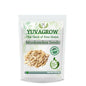 Yuvagrow Muskmelon Seeds