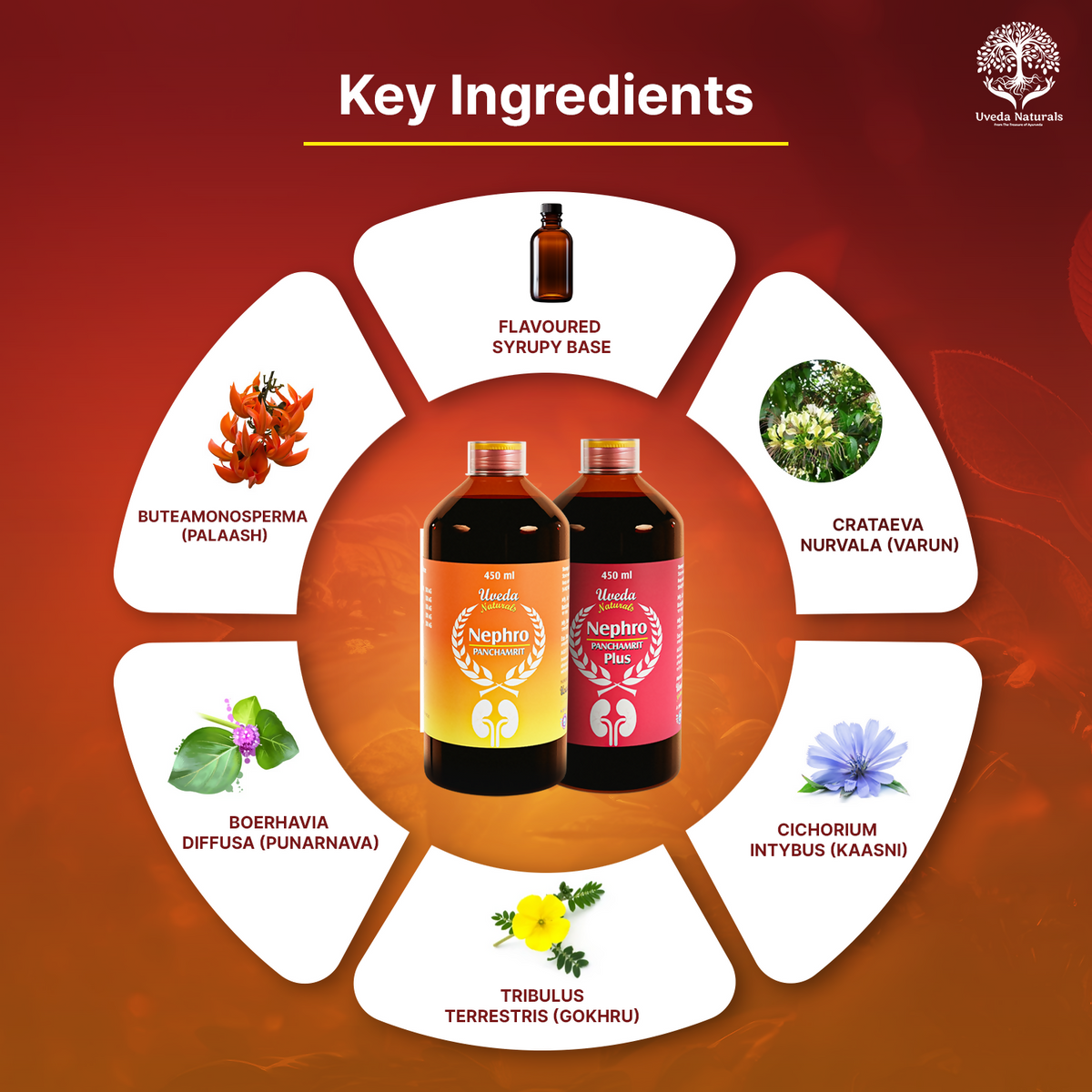 Uveda Naturals Nephro Panchamrit and Nephro Panchamrit Plus Combination