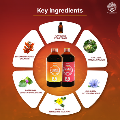 Uveda Naturals Nephro Panchamrit and Nephro Panchamrit Plus Combination