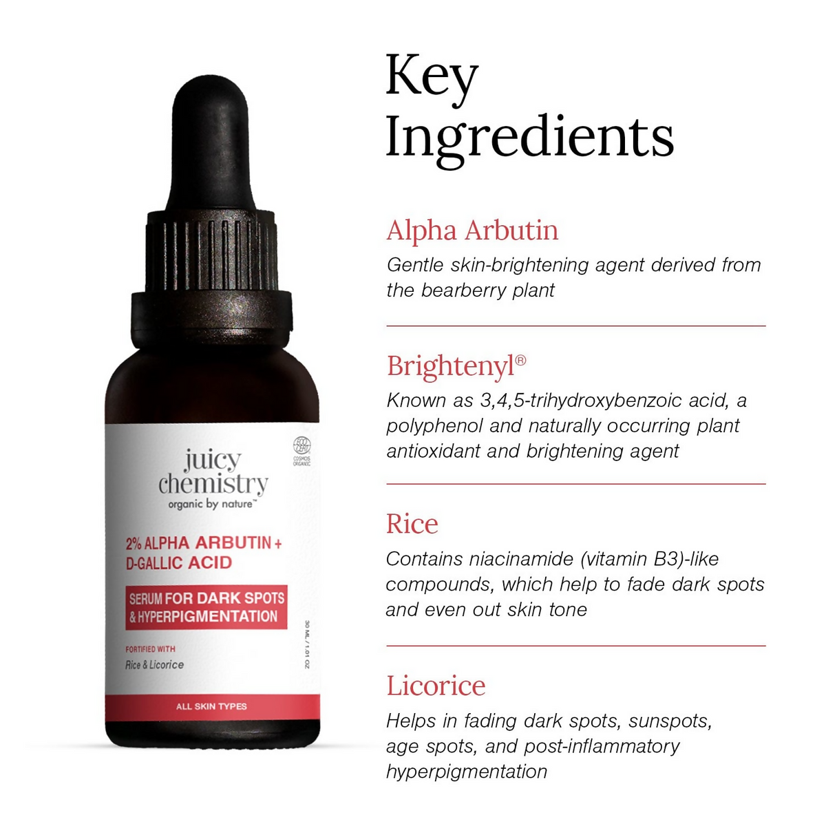 Juicy Chemistry 2% Alpha Arbutin + D-Gallic Acid Face Serum