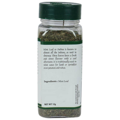 Urban Flavorz Mint Leaf