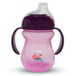 LuvLap Moby Little Spout Sipper for 6m+ (Purple)