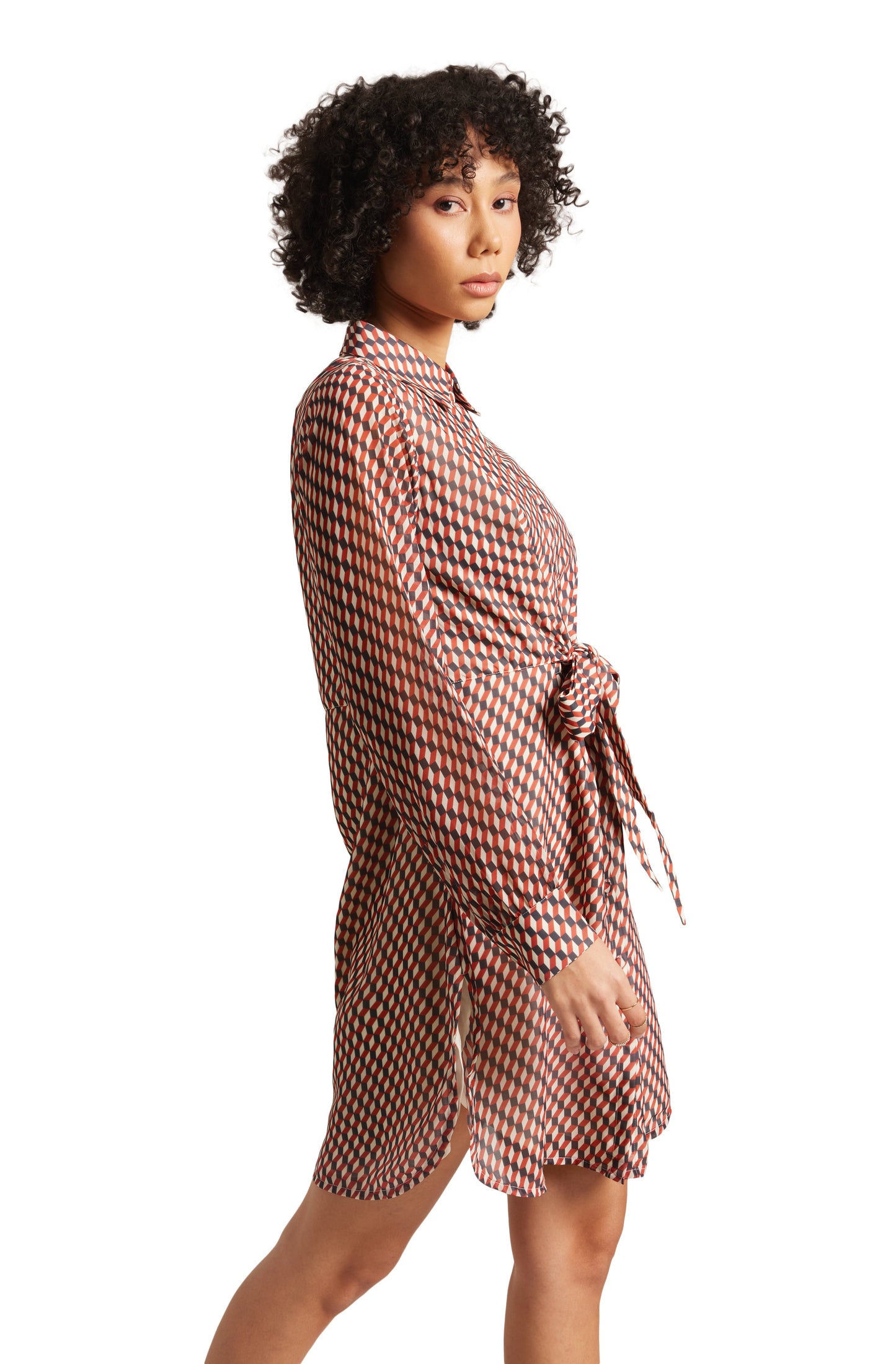 Zaccai Women's Brown Georgette Geometric Dress