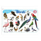 Jolly Kids Picture Learning Educational Table Mat for Kids Set of 8| Ages 2-6 Years| Laminated Picture learning Sheet