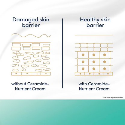 Dove Advanced Sensitive Care Bar With Ceramide And Nutrient Cream