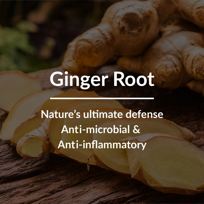 Lotus Botanicals Ginger Root & Black Seed Dandruff Control Hair Oil