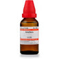 Dr. Willmar Schwabe India Scutellaria Dilution