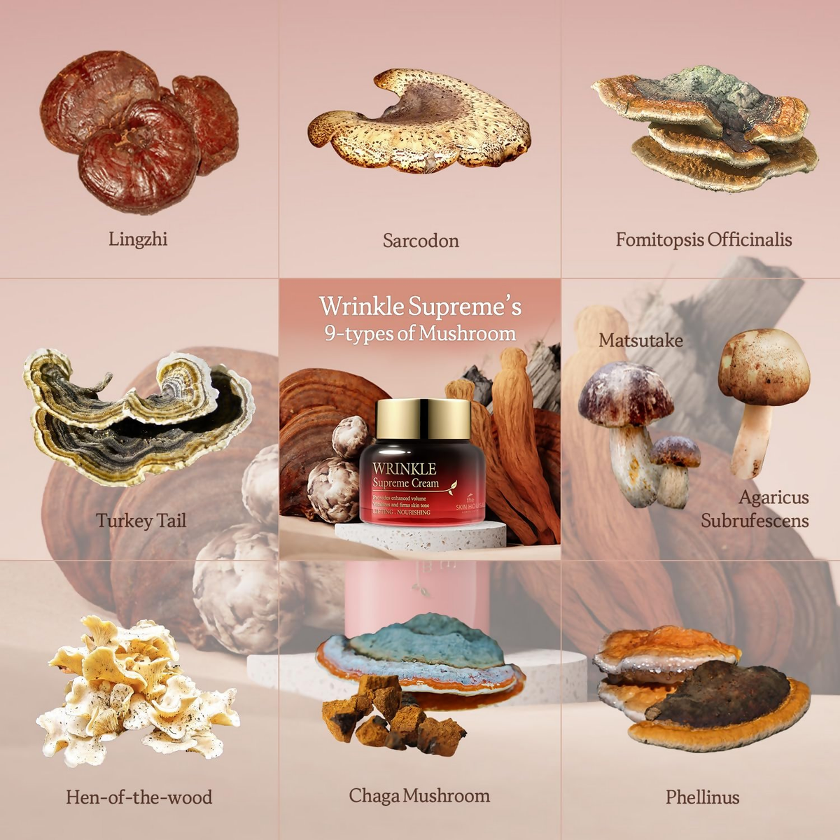 The Skin House Wrinkle Supreme Cream