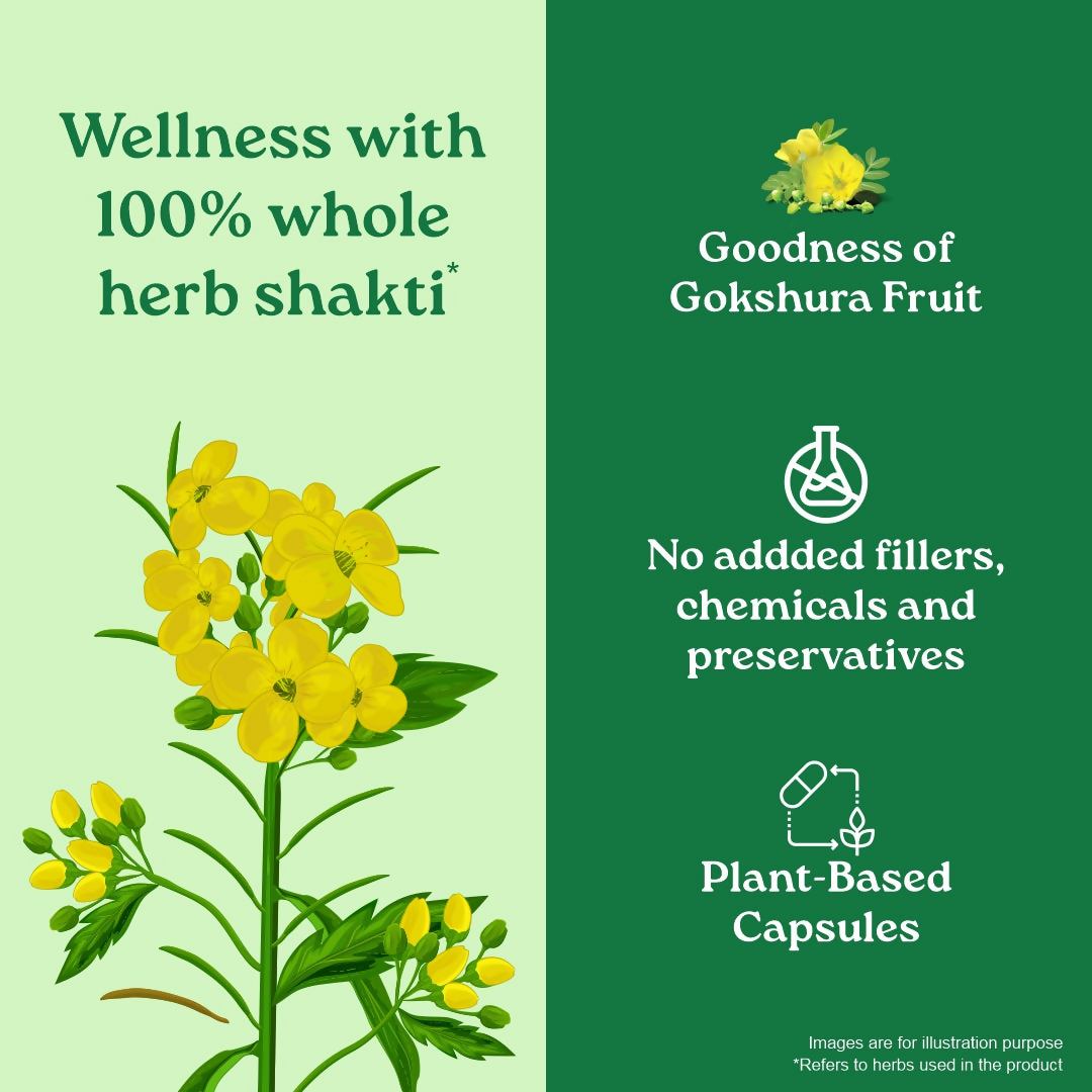 Organic India Gokshura Capsules