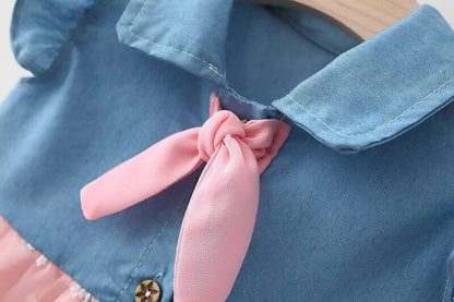 Bold N Elegant Cap Sleeve Denim Embroidered Midi Party Dress Frock with Hat Dress - Floral Pink