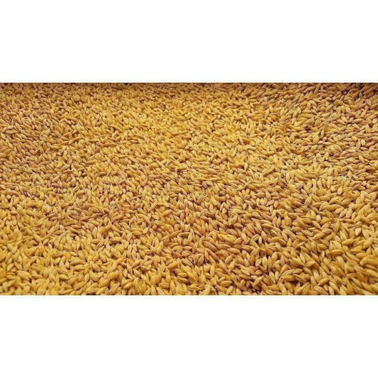 Raw Vaari / Dhanyalu / Dhanyam