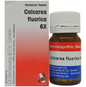Dr. Reckeweg Calcarea Fluorica Biochemic Tablet
