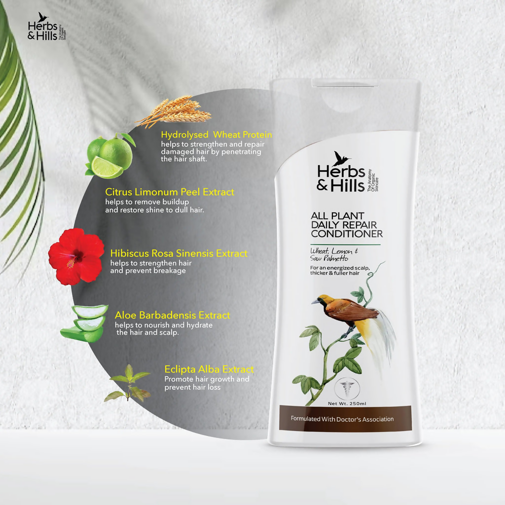 Herbs & Hills All Plant Daily Repair Conditioner