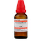 Dr. Willmar Schwabe India Taraxacum Officinale Dilution