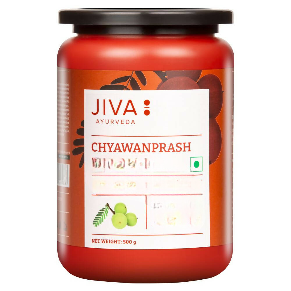 Jiva Ayurveda Karela Jamun Juice & Sugarfree Chyawanprash Combo