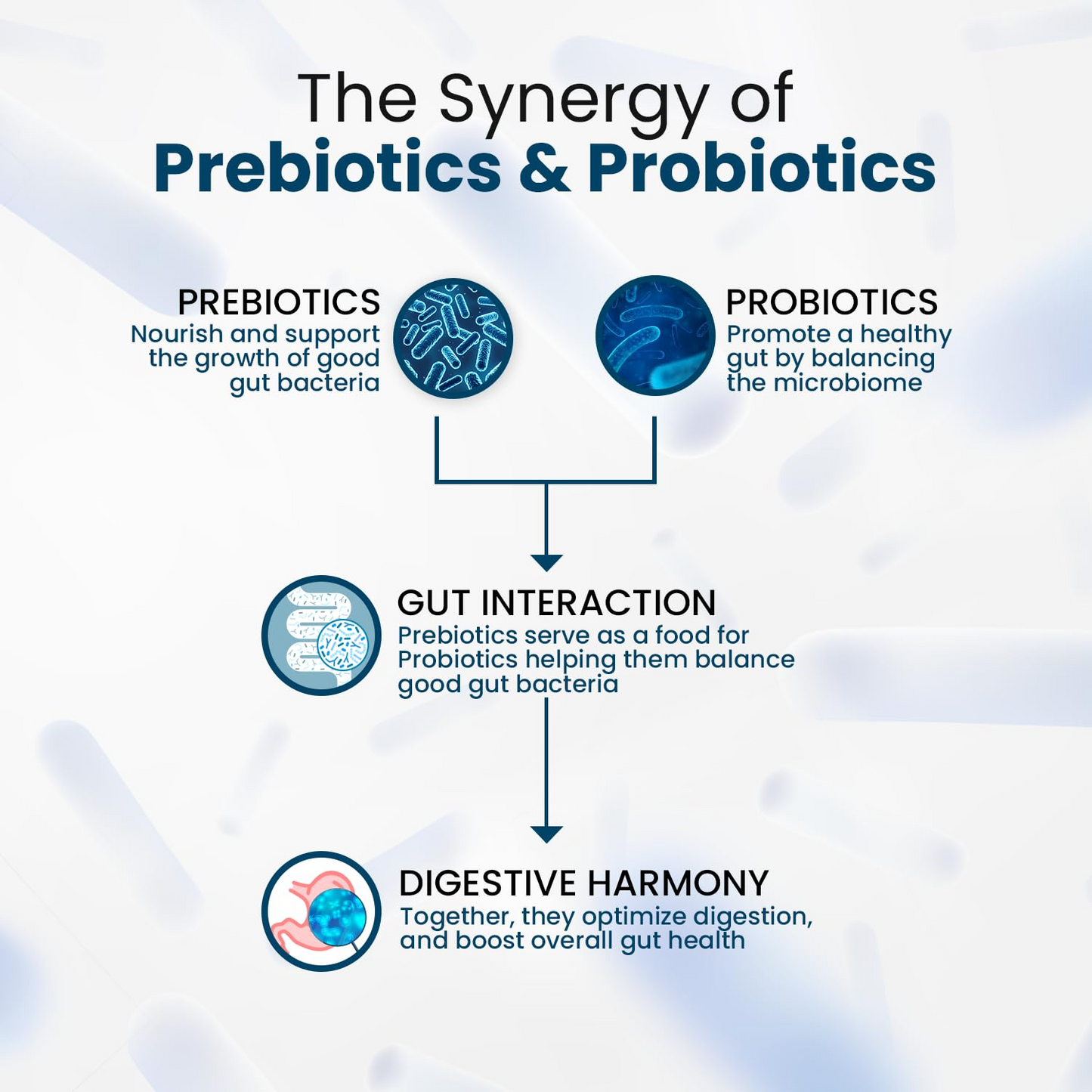 Himalayan Organics Probiotics Supplement 50 billion Prebiotics Capsules