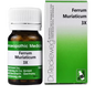 Dr. Reckeweg Ferrum Muriaticum Tablets