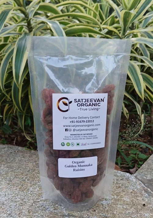 Satjeevan Organic Golden Munakka Raisins