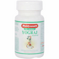 Baidyanath Jhansi Yograj Guggulu Tablets