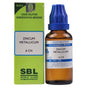 SBL Homeopathy Zincum Metallicum Dilution