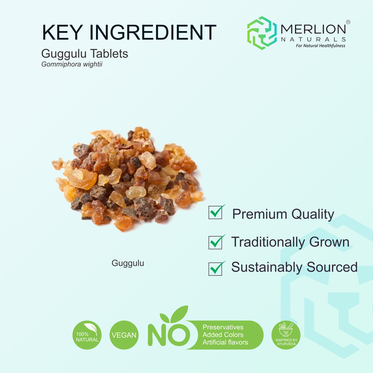 Merlion Naturals Guggulu 500mg Tablets
