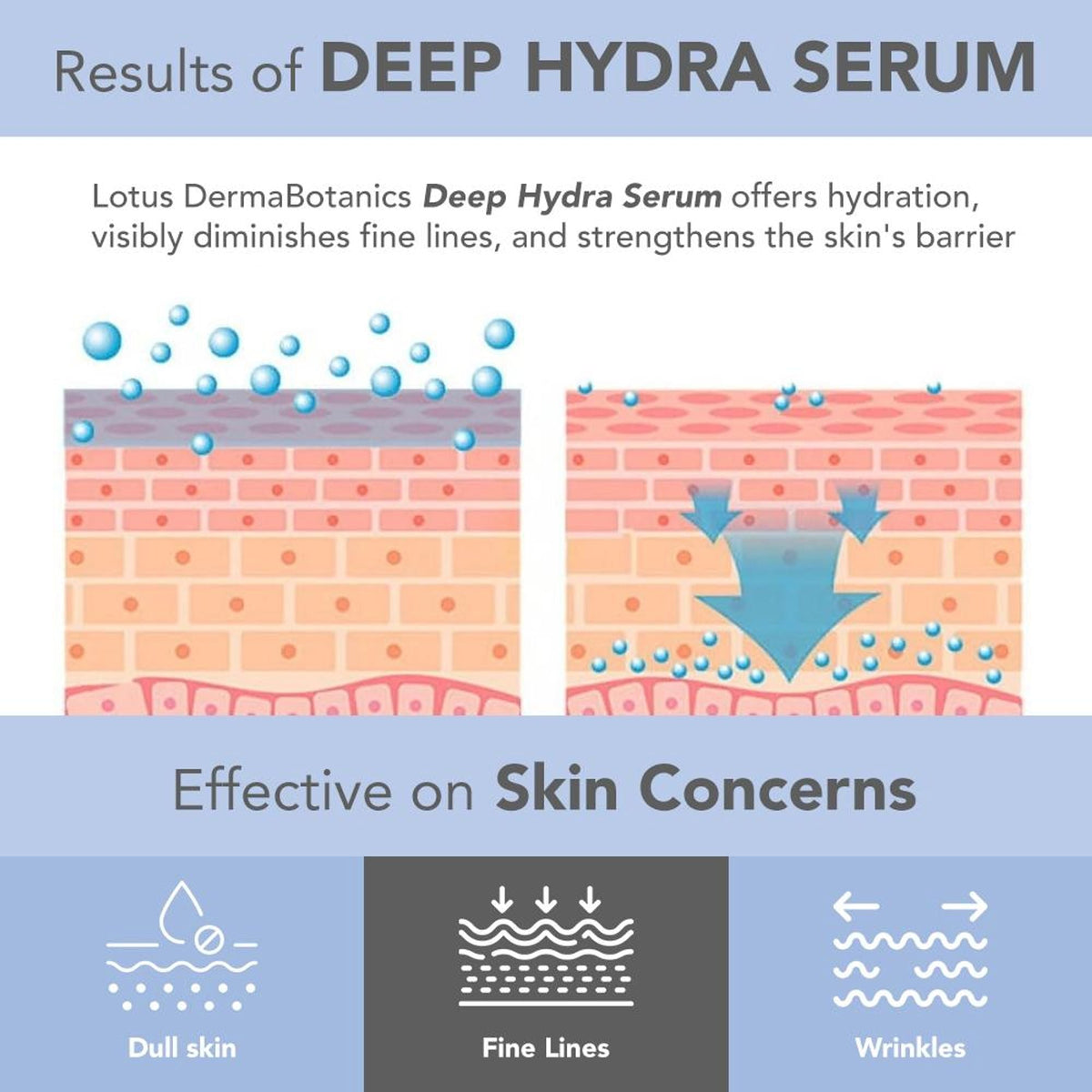 Lotus DermaBotanics Peptide + Papaya Extract Deep Hydra Serum,pH5.5,Normal To Combination Skin