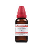 Dr. Willmar Schwabe India Carica Papaya Mother Tincture Q