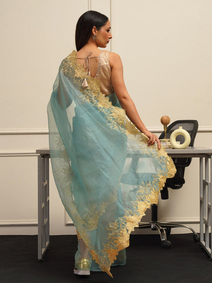 Tikhi Imli Embroidered Organza Heavy Work Saree