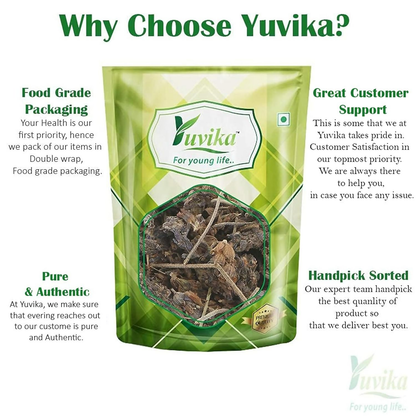 Yuvika Ustekhadoos Asli - Uste Khadus - Lavandula Stoechas - Arabian Lavende